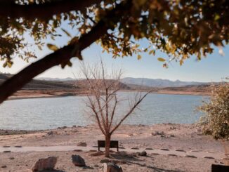 Analizan alcalde y fideicomiso del Parque Metropolitano Tres Presas plan de trabajo 2025