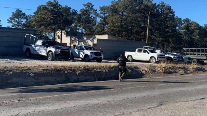 Aseguran madera y guías en aserraderos de San Juanito en operativos contra la tala ilegal