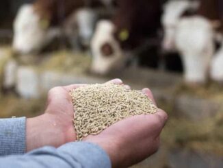 Urgente que se liberen los recursos para lecheros de la Entidad: Congreso de Chihuahua