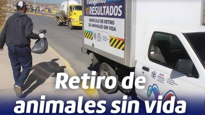 Ofrece municipio el servicio de retiro de animales sin vida en la vía pública
