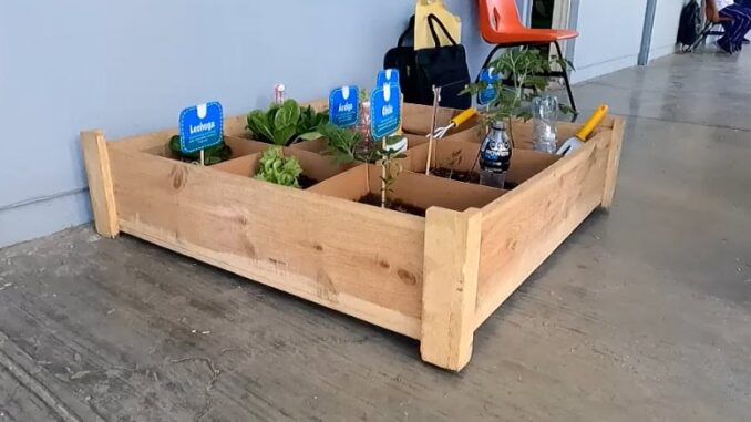 Capacitarán a 1,290 estudiantes cuauhtemenses en la implementación de huertos escolares