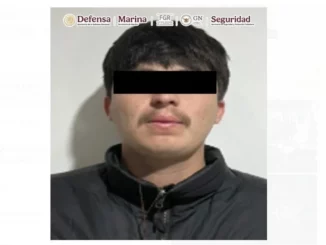 Cateos en Sinaloa dejan cinco detenidos, armas y vehículos asegurados