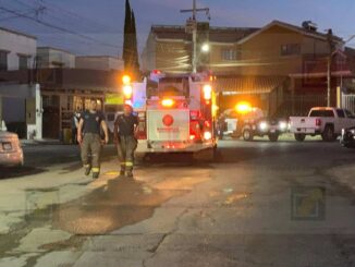 Explosión de microondas provoca flamazo y deja varias mascotas intoxicadas