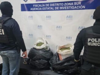 Encuentra AEI marihuana en albergue de Parral