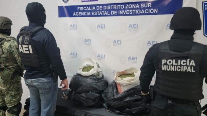 Encuentra AEI marihuana en albergue de Parral