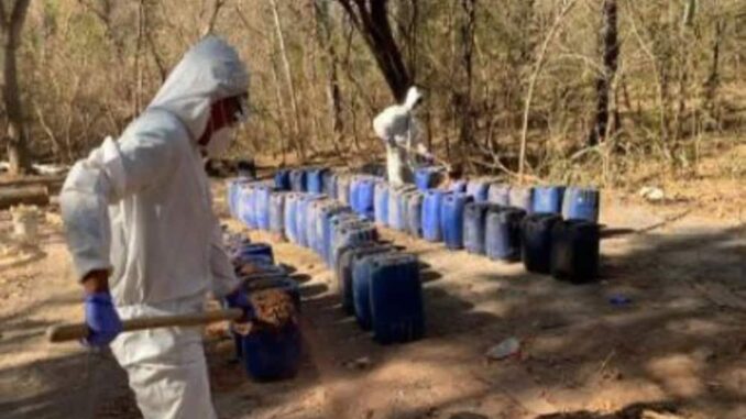 Aseguran en un día 12 narcolaboratorios en Sinaloa