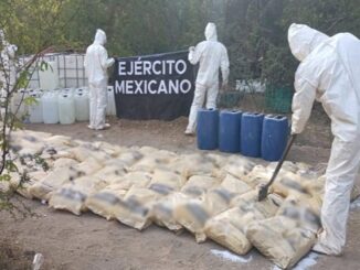 suman 746 detenidos y 705 armas aseguradas