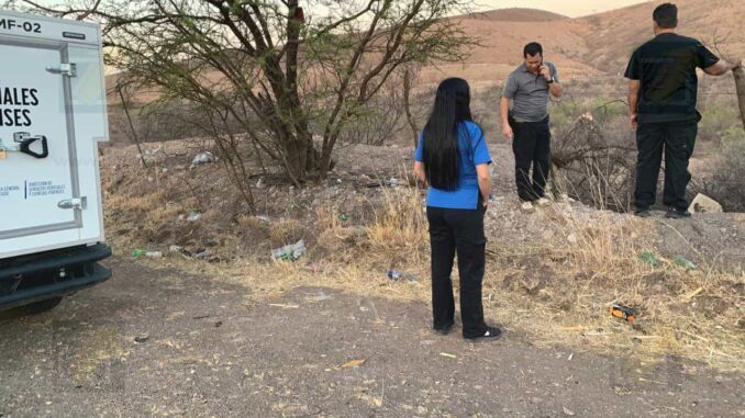 Hallan cuerpo en descomposición bajo un puente de la carretera a Cuauhtémoc