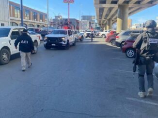 Realizan autoridades operativo de revisión en yonques