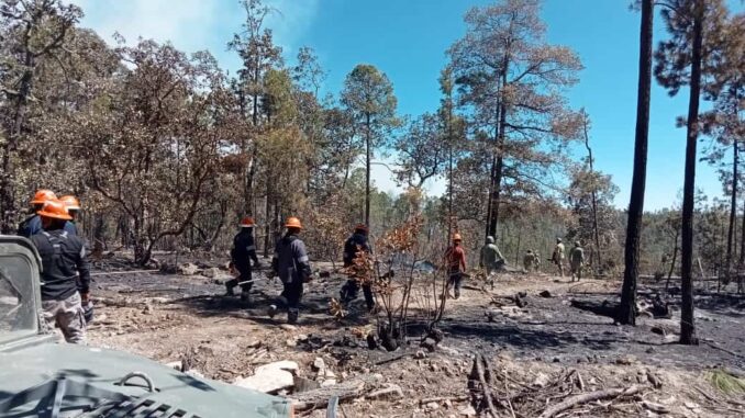 Trabajan 286 combatientes para abatir los 12 incendios activos en el estado