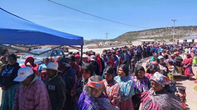 Apoya DIF Estatal a 1,700 familias de la Sierra Tarahumara con maíz y frijol