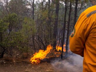 Permanecen activos 7 incendios forestales en la entidad