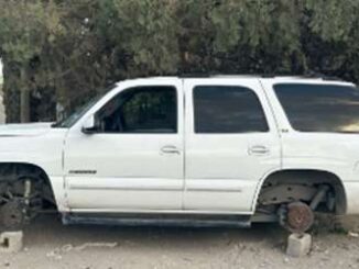 Recuperan 8 vehículos robados en 24 horas