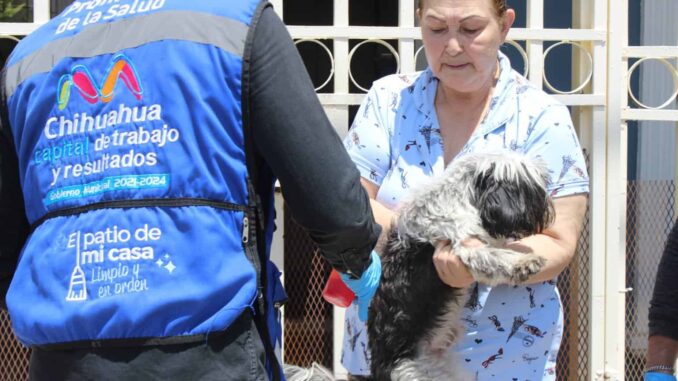 Invita IMPAS a conocer las colonias que visitará el programa “Patio de mi casa” en el mes de abril