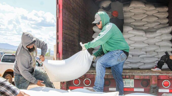 Arranca entrega de semilla de frijol para siembra