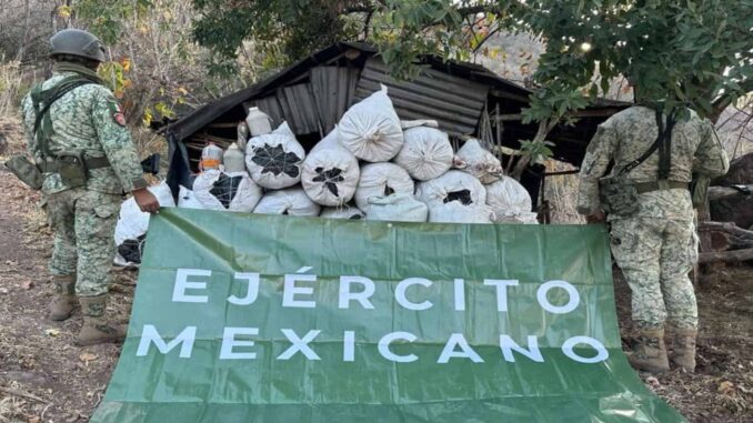 Ejército mexicano destruye 83 plantíos de amapola y mariguana