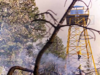 Registra SDR sólo 2 incendios forestales este domingo
