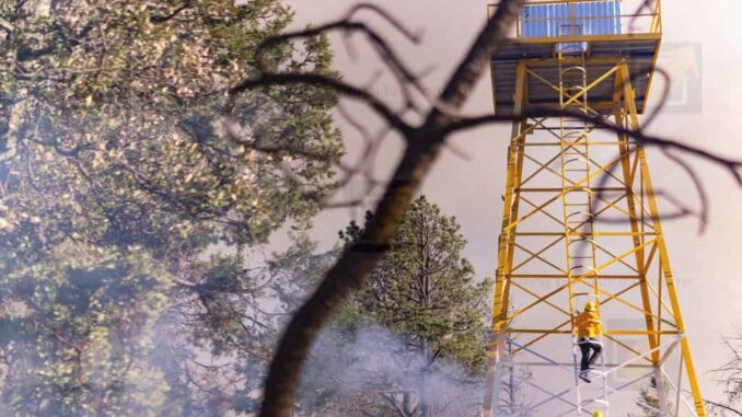 Registra SDR sólo 2 incendios forestales este domingo