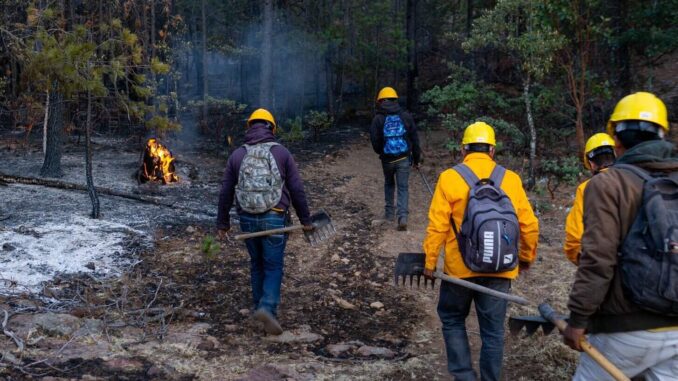 Registra SDR tres incendios forestales activos en el estado