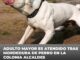 Adulto mayor es atendido tras mordedura de perro en la colonia Alcaldes
