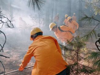 Aumenta número de combatientes para atender 16 incendios forestales activos en el estado