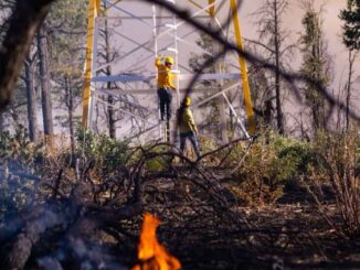 Registran 9 incendios forestales activos en el estado