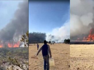 Piden apoyo ante fuerte incendio en San Miguel de Sopechichi en Bocoyna