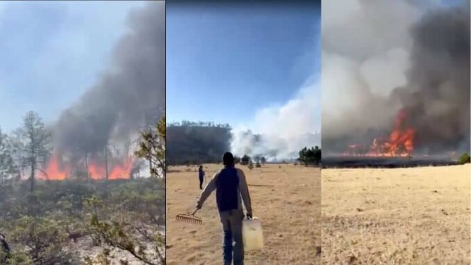 Piden apoyo ante fuerte incendio en San Miguel de Sopechichi en Bocoyna