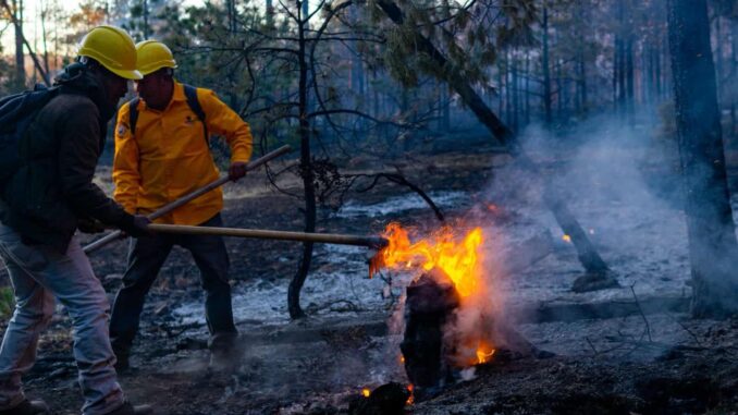 Reporta SDR 13 incendios activos en el estado