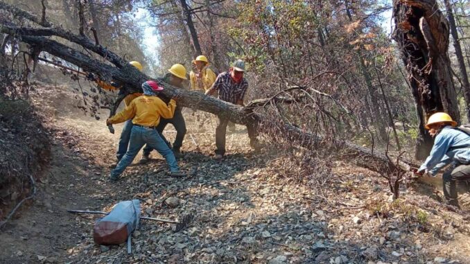 Combaten 438 brigadistas 18 incendios forestales activos en Chihuahua