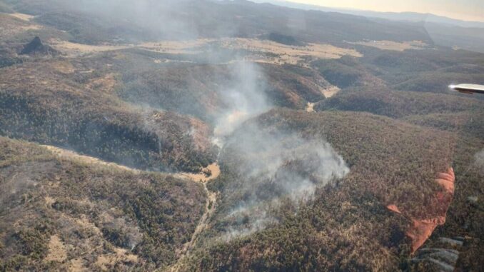 Brigadistas han combatido 373 incendios forestales en lo que va del año