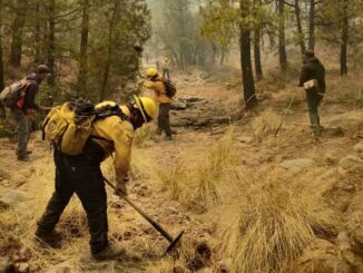 Desarrollo Rural apoya con maquinaria y personal para combatir incendio forestal en Madera