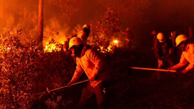 Reporta Secretaría de Desarrollo Rural 17 mil hectáreas con afectaciones por incendios forestales