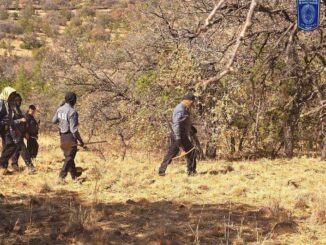 Localiza FGE Occidente durante rastreo dos cuerpos sin vida