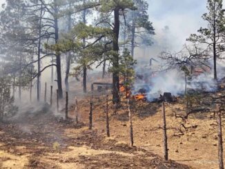 Reporta SDR 11 incendios forestales activos en Chihuahua este sábado