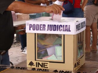 Los principales puntos del informe preliminar de la misión de la OEA sobre la elección judicial en México, por Daniel Zovatto