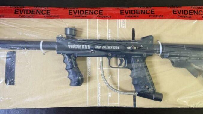 Asegura Fiscalía Zona Centro armas de fuego, cartuchos y evidencia de interés en cateos