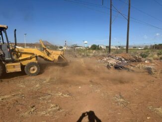 Chapopotera  involucrada en caso de perritos, limpia el terreno y retira residuos