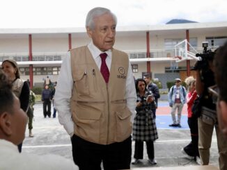 OEA destaca tranquilidad y baja participación en las elecciones judiciales