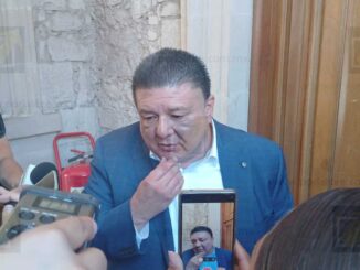 Fiscalía descarta maltrato en caso de perritos atrapados en chapopote