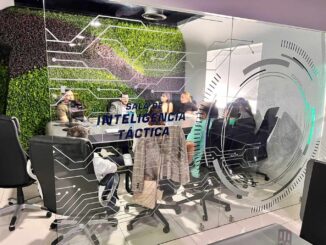 Investigan hallazgo de 4 perritos bañados en chapopote; sólo uno sobrevivió