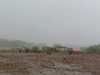 Prevén temperaturas calurosas y lluvias en la región norte del estado