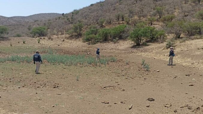 Despliega FGE operativo de búsqueda de personas en Parral, Matamoros y Santa Bárbara