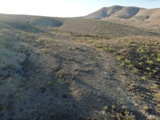 Concluye rescate de mujer senderista fallecida en Sierra del Mogote