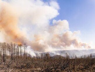 Combaten 435 brigadistas 24 incendios forestales activos en la entidad
