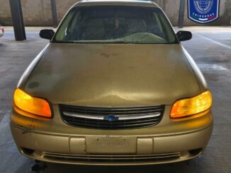 Arresta AEI a pareja por posesión de arma de fuego y drogas en Urbivilla del Cedro