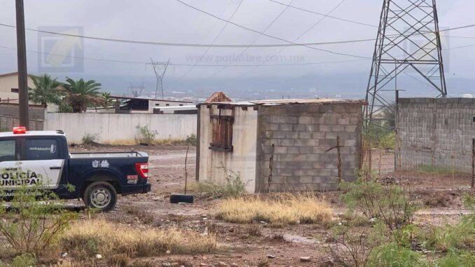 Encuentran a un hombre sin vida en un árbol en la colonia Ampliación Crucero