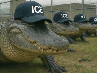 Protestan en EE.UU. contra cárcel migratoria ‘Alligator Alcatraz’