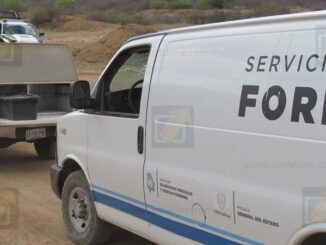 Muere al caer de un tractocamión en marcha en camino de Guachochi