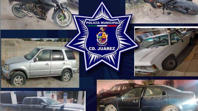 Recuperan siete vehículos robados durante operativo